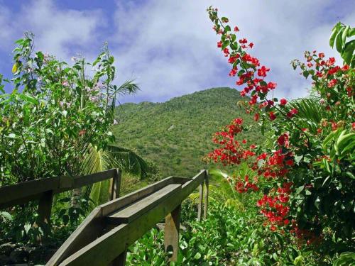 Statia Botanical Gardens