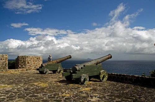 Fort de Windt cannons