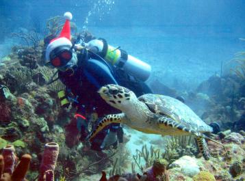 Scuba diver with tortoise