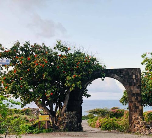 Statia streetscape