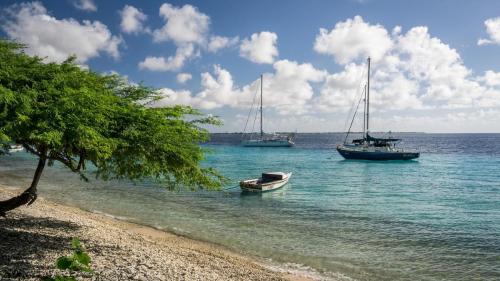 Statia sailboats