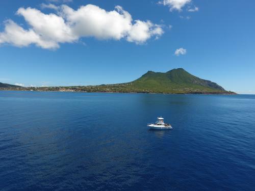 The Quill from the Caribbean Sea